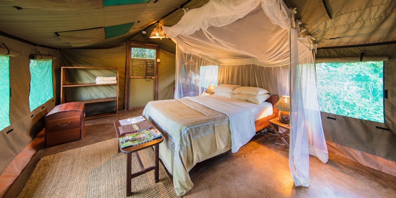 Safari Tents