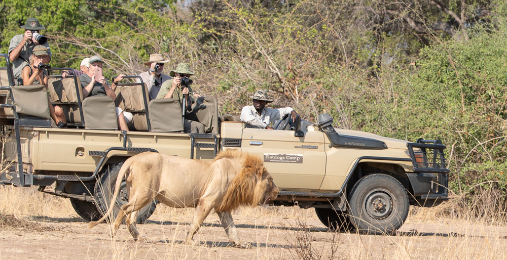 Why South Luangwa?
